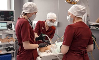 Итоги Международной олимпиады по неонатологии в Краснодаре